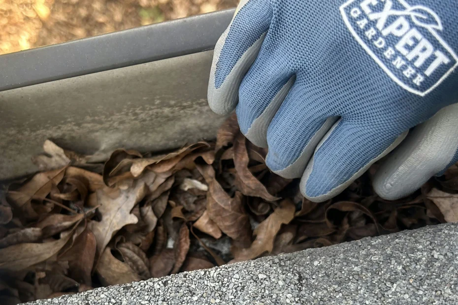 Gutter Cleaning Salem VA