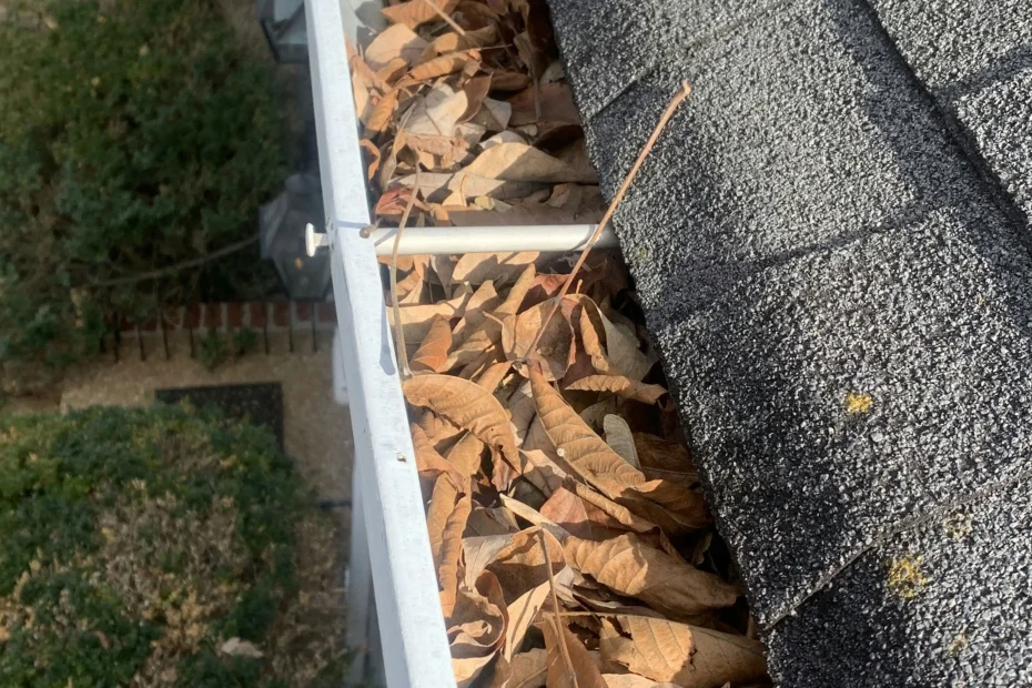 Gutter Cleaning Salem VA