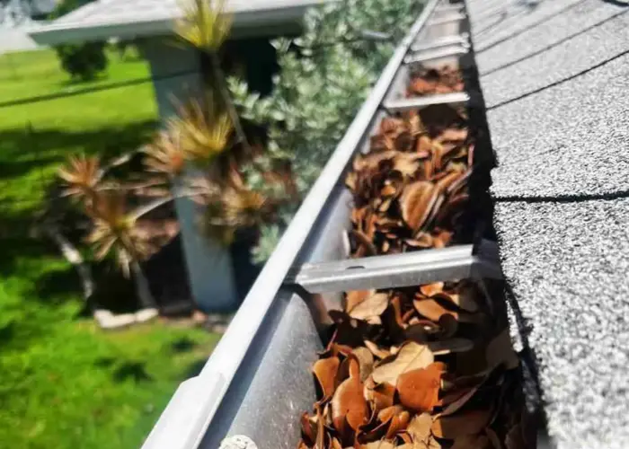 Gutter Cleaning Salem VA home page